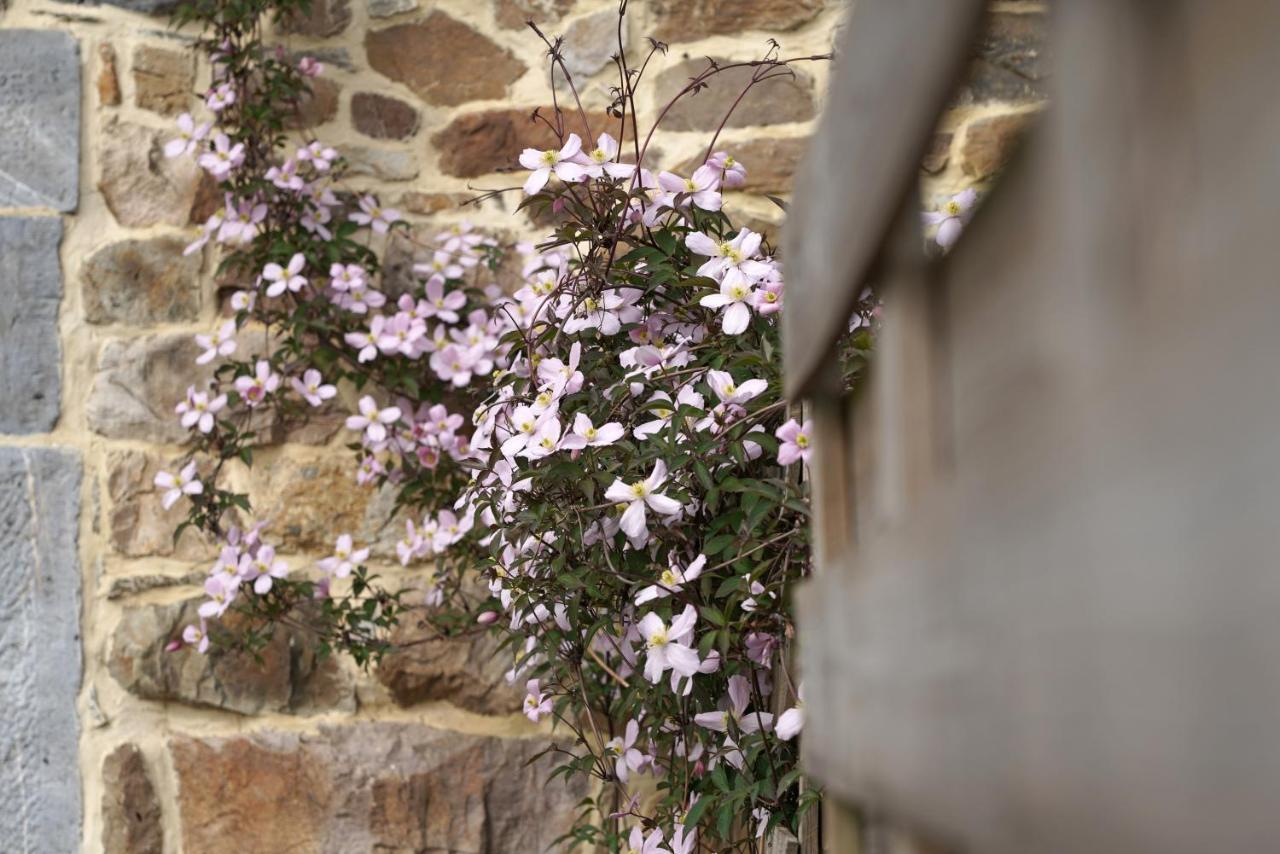 Gite Du Jardin Theux Eksteriør bilde