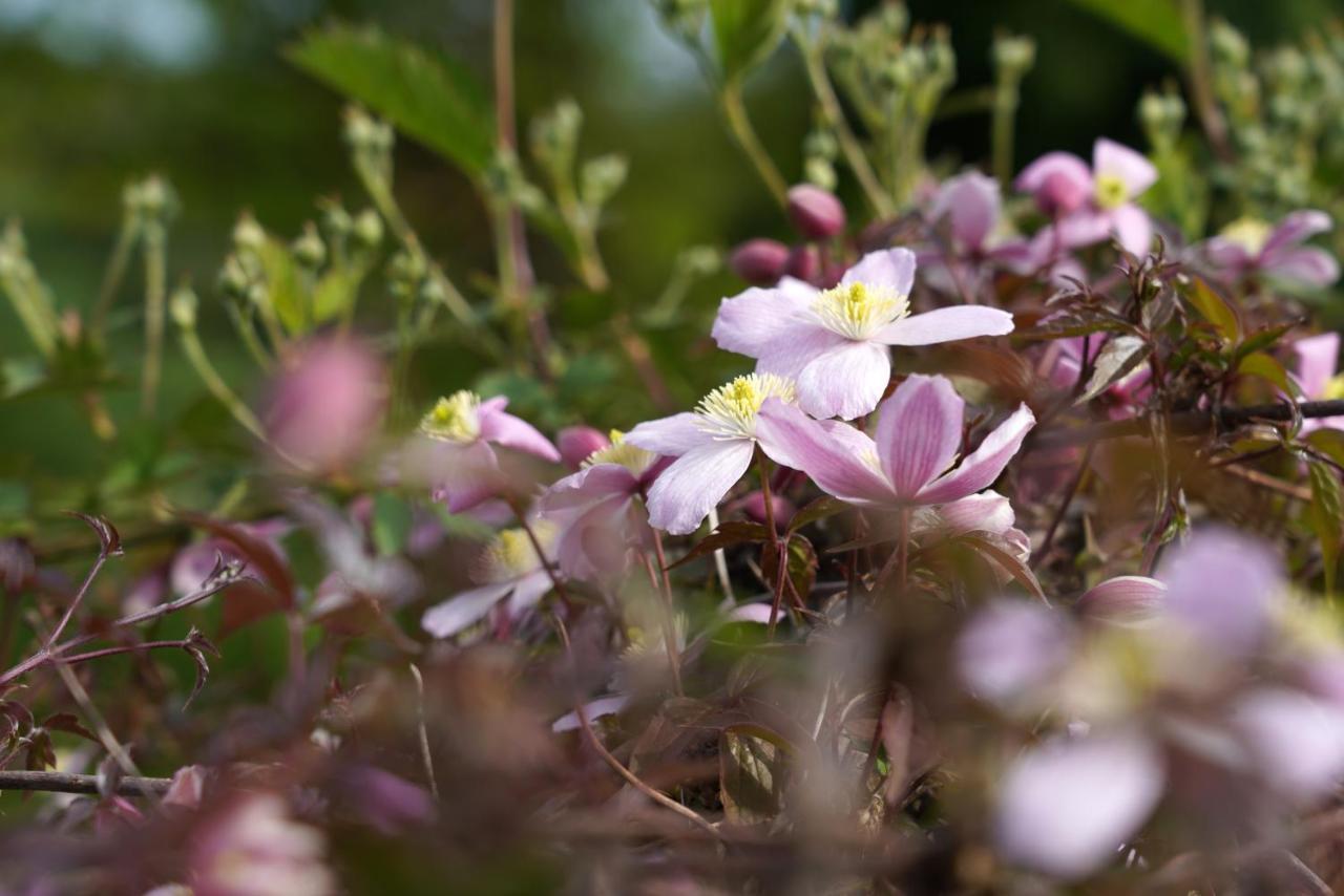 Gite Du Jardin Theux Eksteriør bilde